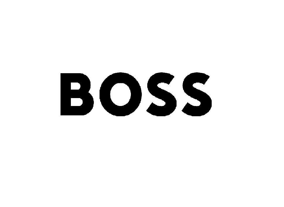 Boss Inspired